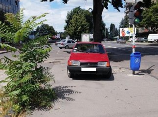 В Ужгороді "олень" здивував мешканців вулиці Льва Толстого