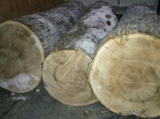 Крадії лісу, щоб їх не впіймали, тікали від охорони по півметрових заметах, лишивши автівку з деревиною