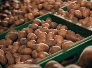 Картопля почала дорожчати: скільки коштує кілограм