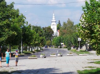 Хоча це і циганське містечко, але воно в рази краще, ніж більшість шахтарських селищ на Донбасі", – блогер про Великий Березний