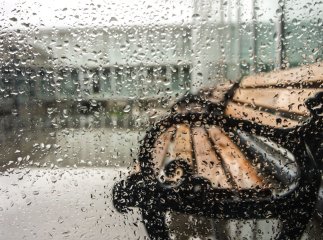 Стихія в Ужгороді: потужна злива перетворила дороги на водні потоки Стихія в Ужгороді