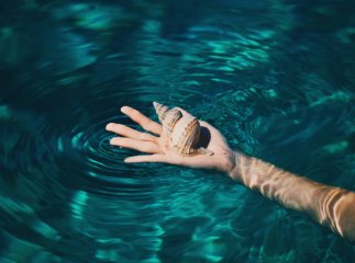 Яке сьогодні свято