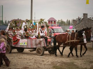 Куди піти та що побачити на Закарпатті у вересні: фестивалі, події, свята