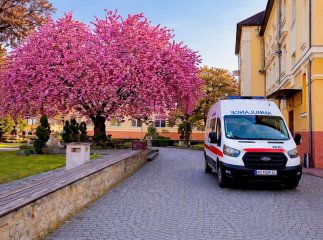 Медики врятували жінку з анафілактичним шоком на Берегівщині