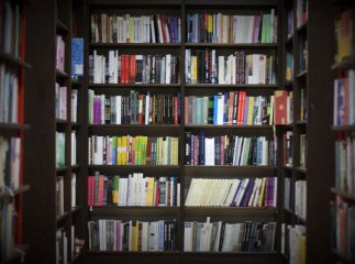 Збірка новел угорськомовної літераторки з Берегова вийшла друком українською