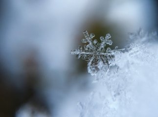 Синоптики розповіли, коли на Закарпатті похолодає і вдарять морози