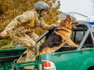 Прикордонники посилили охорону українсько-словацького кордону
