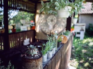 Проект "Ukraїner" показав екопоселення і розповів, в чому унікальність Закарпаття