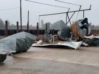 Дерева виривало з корінням: закарпатське місто накрила страшна негода