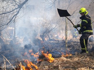 Кількість загорянь збільшується: з початку року в екосистемах краю зафіксували 570 пожеж