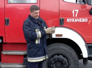 У будівлю мукачівського автовокзалу залетів сокіл. Люди викликали рятувальників
