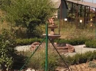 У селі Шенборн створили справжній парк посеред села (ВІДЕО)