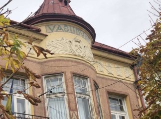 Як 22-річний хлопець придбав чималу нерухомість у центрі Мукачева або історія про дивний продаж