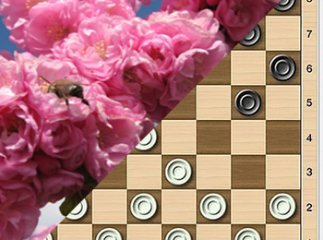 Мукачівський шахово-шашковий клуб запрошує в суботу