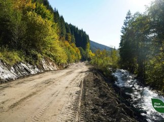 У Карпатах відновлюють лісову дорогу на Чорногору