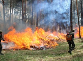 Закарпатські синоптики попереджають про високу пожежну небезпеку