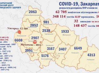 На Закарпатті виявили багато хворих на коронавірус. Є померлий