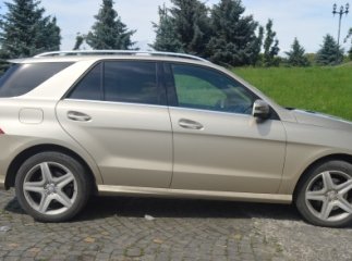 Поліція конфіскувала від жінки "Мерседес", який значився у міжнародному розшуку