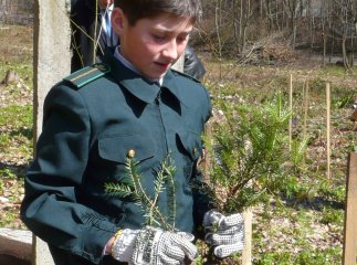 Обласна влада уловила фішку: "Майбутнє лісу - у твоїх руках"