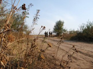 "Нічних обстрілів не було", – 128-а бригада