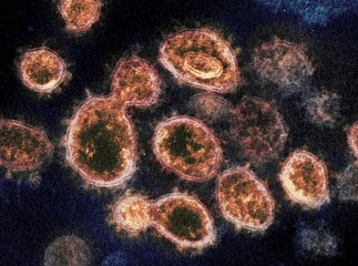 У світі виявили нову мутацію коронавірусу під назвою "Дельтакрон": чим вона небезпечна