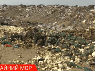 На Закарпатті продукти згнивають, бо держава вирішила не купувати своє, а ввозити імпортне