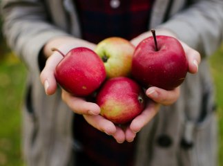 Доходить і до 100 гривень: ціни на яблука продовжують дивувати Доходить і до 100 гривень: ціни на яблука продовжують дивувати