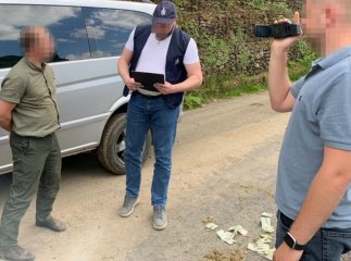 На Закарпатті заарештували лісничого: що він накоїв