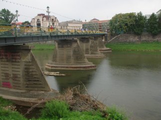 Після бурі ужгородський міст оточили гілки дерев (ФОТО)