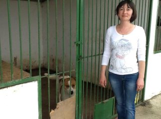 Шлях від варварської ловлі та утримання тварин до цивілізованого притулку у Мукачеві