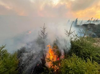 На Закарпатті повідомляють про велику пожежу на полонині