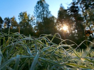 На Закарпаття сунуть дощі та похолодання