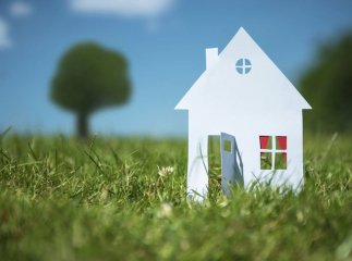 Ціни на землю вкотре переписали: скільки тепер коштує гектар