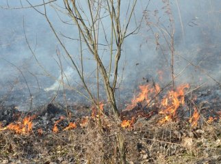 Неподалік від траси, що з’єднує Ужгород і Мукачево, палав вогонь