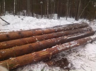 На Міжгірщині правоохоронці затримали вантажівку з "лівим" лісом