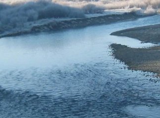 Водій не впорався з керуванням: авто злетіло з дороги і впало в річку