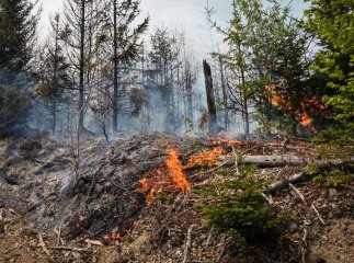 Заважає гасити складний рельєф: як виглядає пожежа в Карпатах