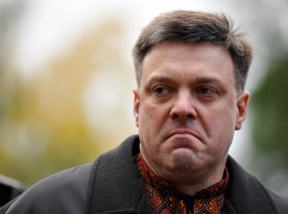 Тягнибок та Гриценко визначилися із довіреними особами у Закарпатті