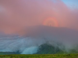 На Закарпатті сфотографували "гірського привида"
