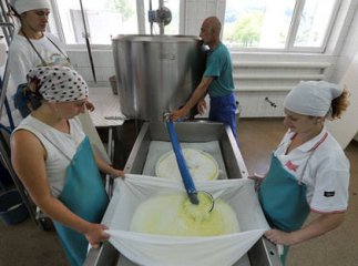 На Закарпатті роблять сир із нарцисів
