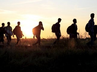 В Ужгороді поліцейські затримали п’ятьох нелегалів з Шрі-Ланки