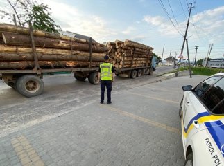 Патрульні розповіли про випадок у селі Бедевля