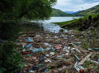 Латориця потопає у смітті