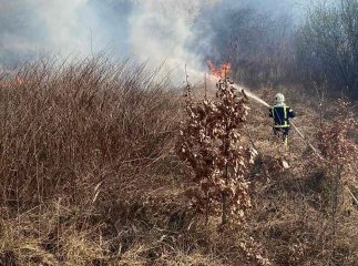 Неконтрольований вогонь у Мукачеві перекинувся на будівлю
