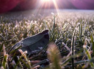 Синоптики попереджають про перші заморозки у гірських районах Закарпаття