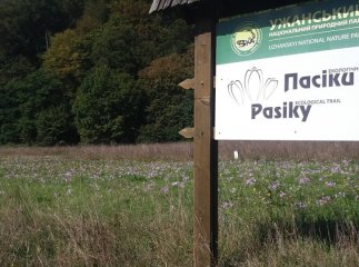 В Ужанському національному парку, що на Закарпатті, рясно зацвіли пізньоцвіти