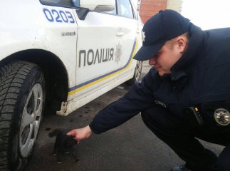 Патрульні розповіли історію про порятунок цуценяти у Мукачеві