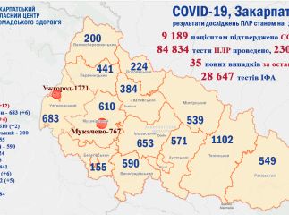 Коронавірус у Закарпатті: скільки людей захворіло за добу – оновлені дані
