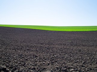 Яка середня вартість 1 га землі в Україні, станом на березень 2026 року