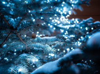 Синоптики розповіли, якою буде погода на Святвечір та Різдво